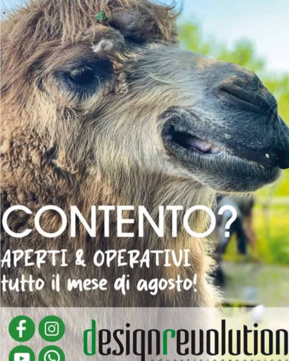 Aperti Tutto Agosto - Design Revolution Treviso